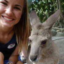 ARCC Programs | Get up-close with Kangaroos