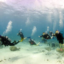 ARCC Programs | SCUBA Dive the Great Barrier Reef
