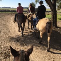 Riding horses at the quinta
