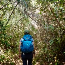 Exploring La Amazonia