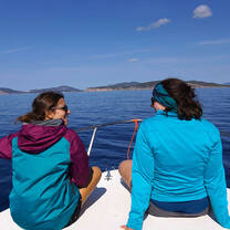 Interns in search of dolphins