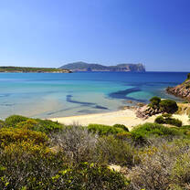 Alghero beach