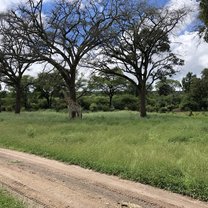 Conservation 