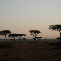 Global Dental Relief Kenya 