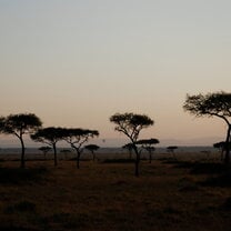 Global Dental Relief Kenya 