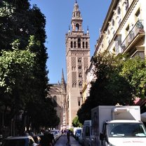 The Cathedral 