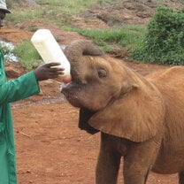 Global Dental Relief Kenya 