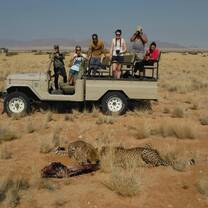 Cheetah conservation