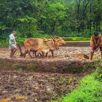 Sustainable Development Goal- No Hunger, Field Immersions TribesforGOOD