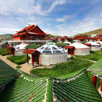 Volunteer in Mongolia