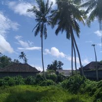 Bali-scenery