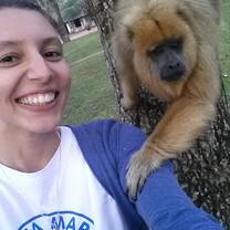 The monkeys in the plaza are super friendly if you give them food!