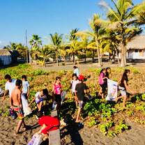 Beach cleanup