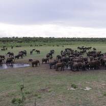 Elephant conservation National Parks