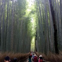 Arashiyama Arashiyama