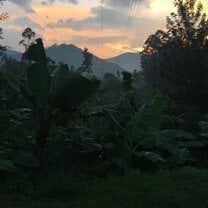 Sunset view from the red brick house