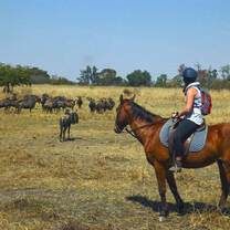 Horse riding and conservation