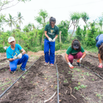 Sustainable farming