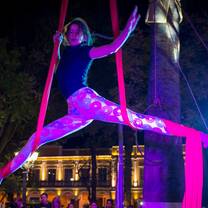Aerial silk