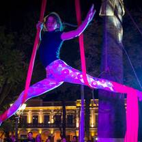 Aerial silk