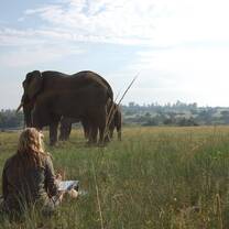 Volunteer with elephants