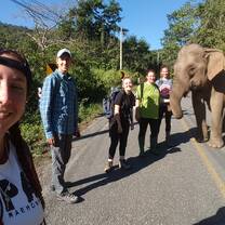 gvi chiang mai