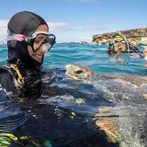 Scuba Diving with turtles 