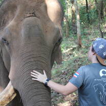 GVI Chiang Mai