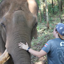GVI Chiang Mai