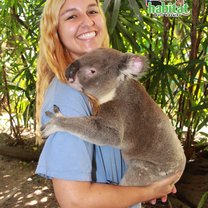 Holding a Koala Bear