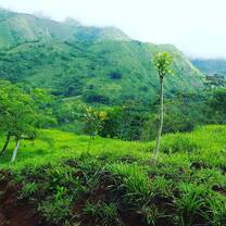 farm views