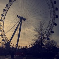 London eye 