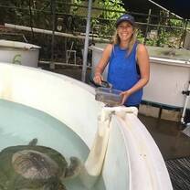 Travel with us to the Great Barrier Reef and become a Marine Conservation Volunteer. No Limit Adventures has teamed up with a dive operator in Cairns, with a high commitment to environmental sustainability, to offer a unique marine conservation volunteering opportunity. Spend your volunteer holiday in Cairns and enjoy our 12-day program that combines the adventure of diving with marine conservation on the Great Barrier Reef.