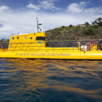 Yellow subs forever