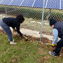 maintaining solar panels