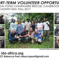 volunteers in Cameroon