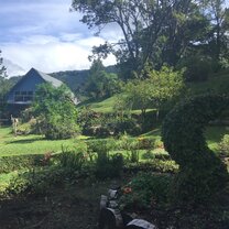 Panama forest in Panama