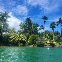 Panama Panama ocean and trees