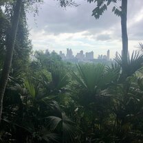 Panama Rainforest in Panama
