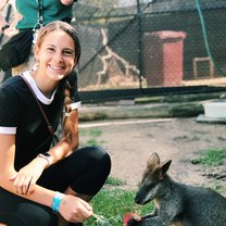 Feeding a wallaby