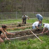 Volunteer in USA Garden Projects