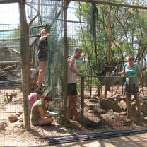 Constructing an enclosure