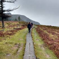 Wicklow Mountains 