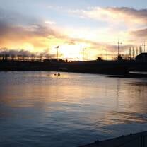 Cork