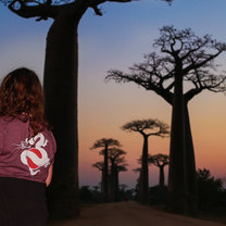 Mighty Baobab