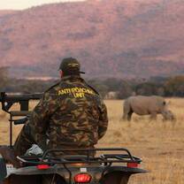 anti-poaching volunteer