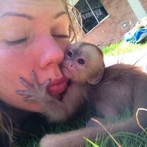Baby white capuchin hugs a volunteer.