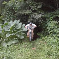 Biking in the jungle