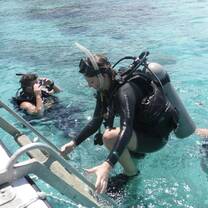 Students Diving