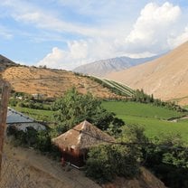 Pisco Elqui